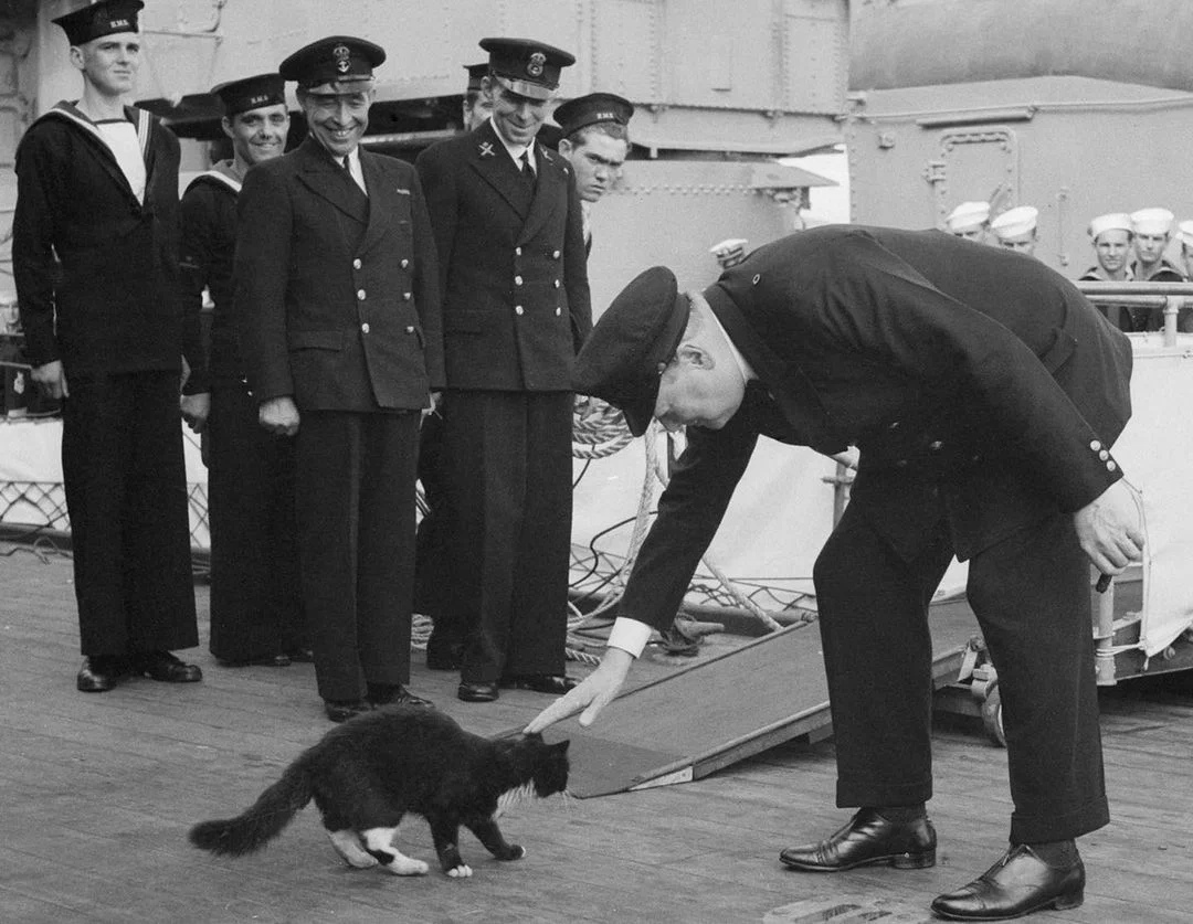 Уинстон Черчилль на борту линкора «Принц Уэльский» и талисман корабля, кот Блэки.