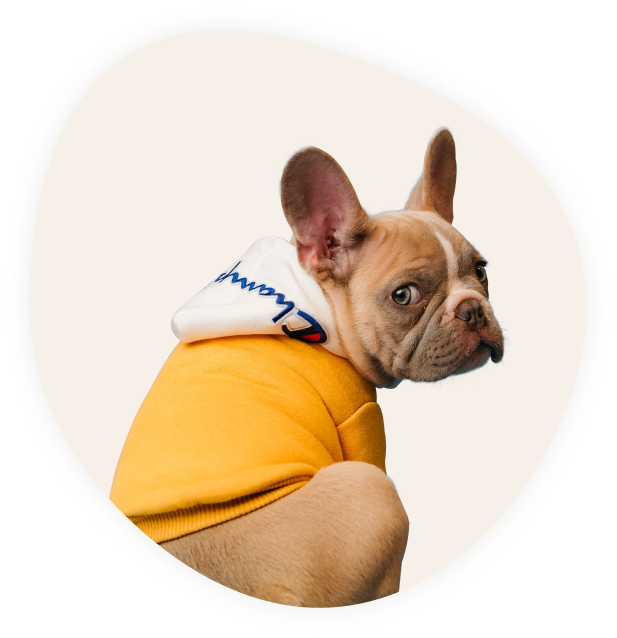 Ветеринар эксперт — ветеринарные услуги на дому в Москве