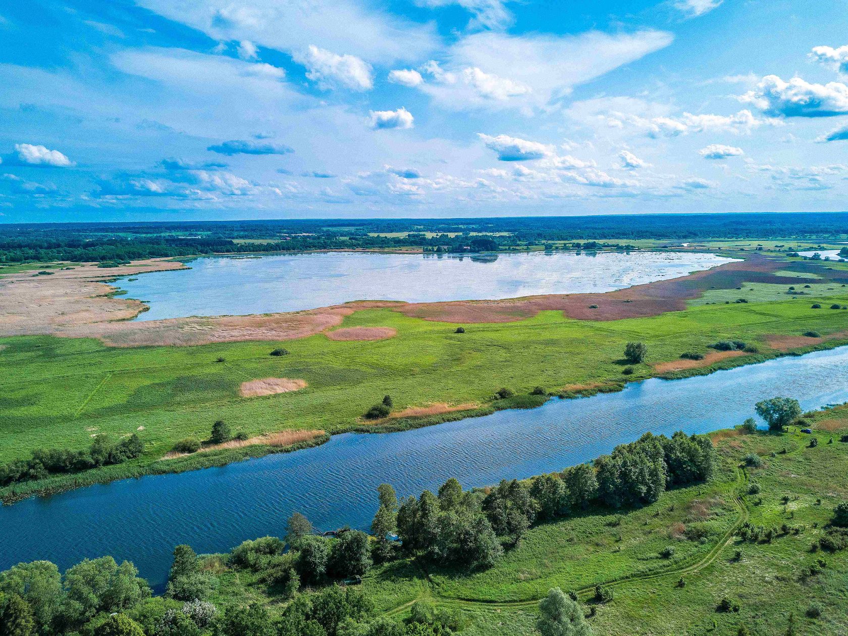 река преголя калининградская область