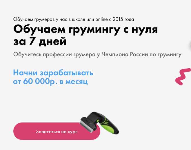 Базовый курс по грумингу | Курсы груминга в Москве | Школа груминга ...