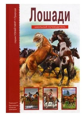 Лошади