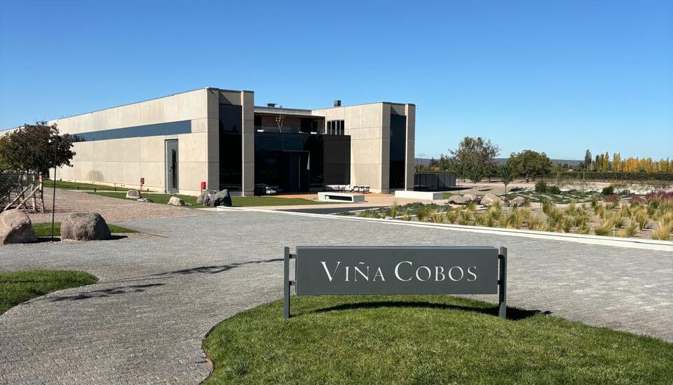 Viña Cobos winery and vineyards