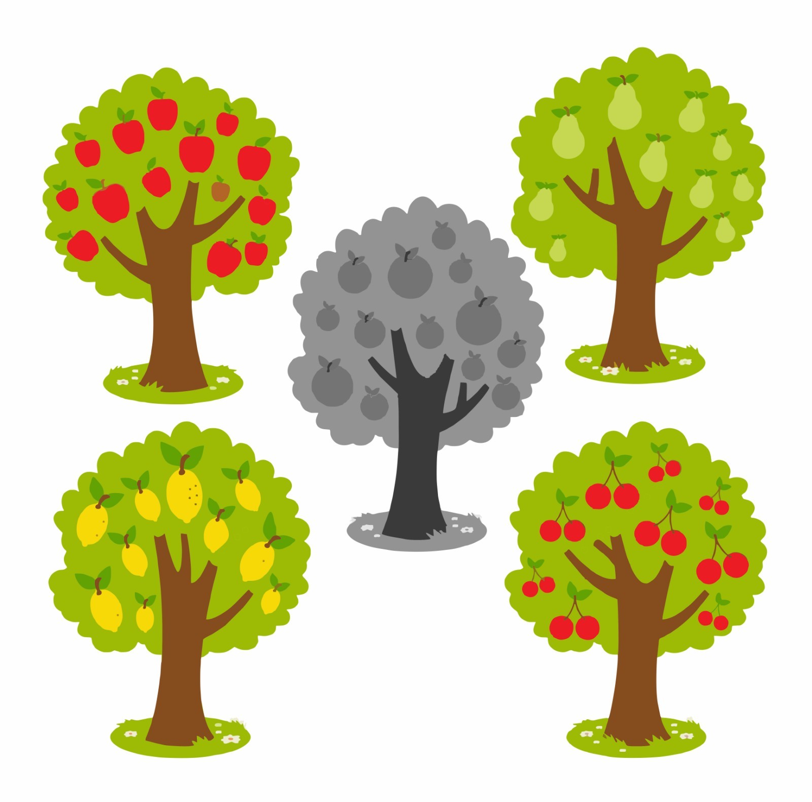 Фруктовые деревья для дошкольников