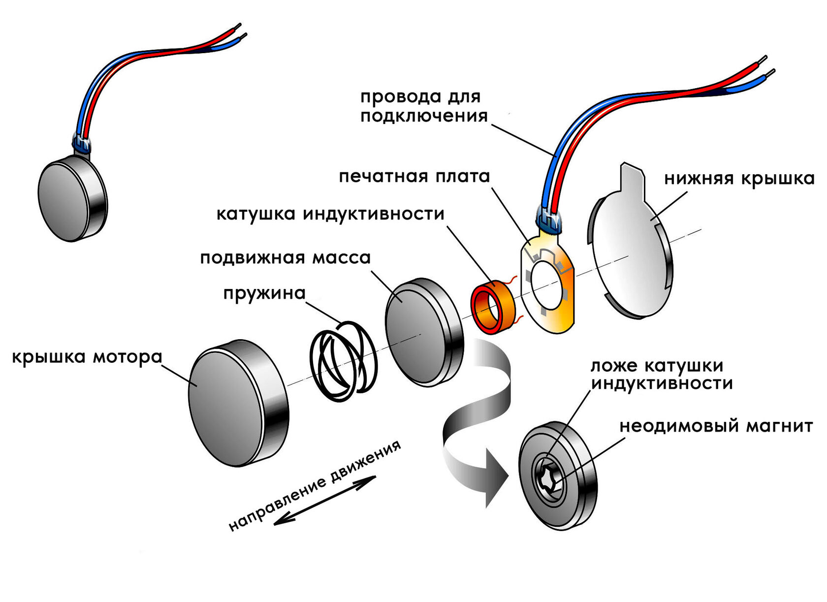 Вибромотор в часах и браслетах здоровья HEALTHBAND