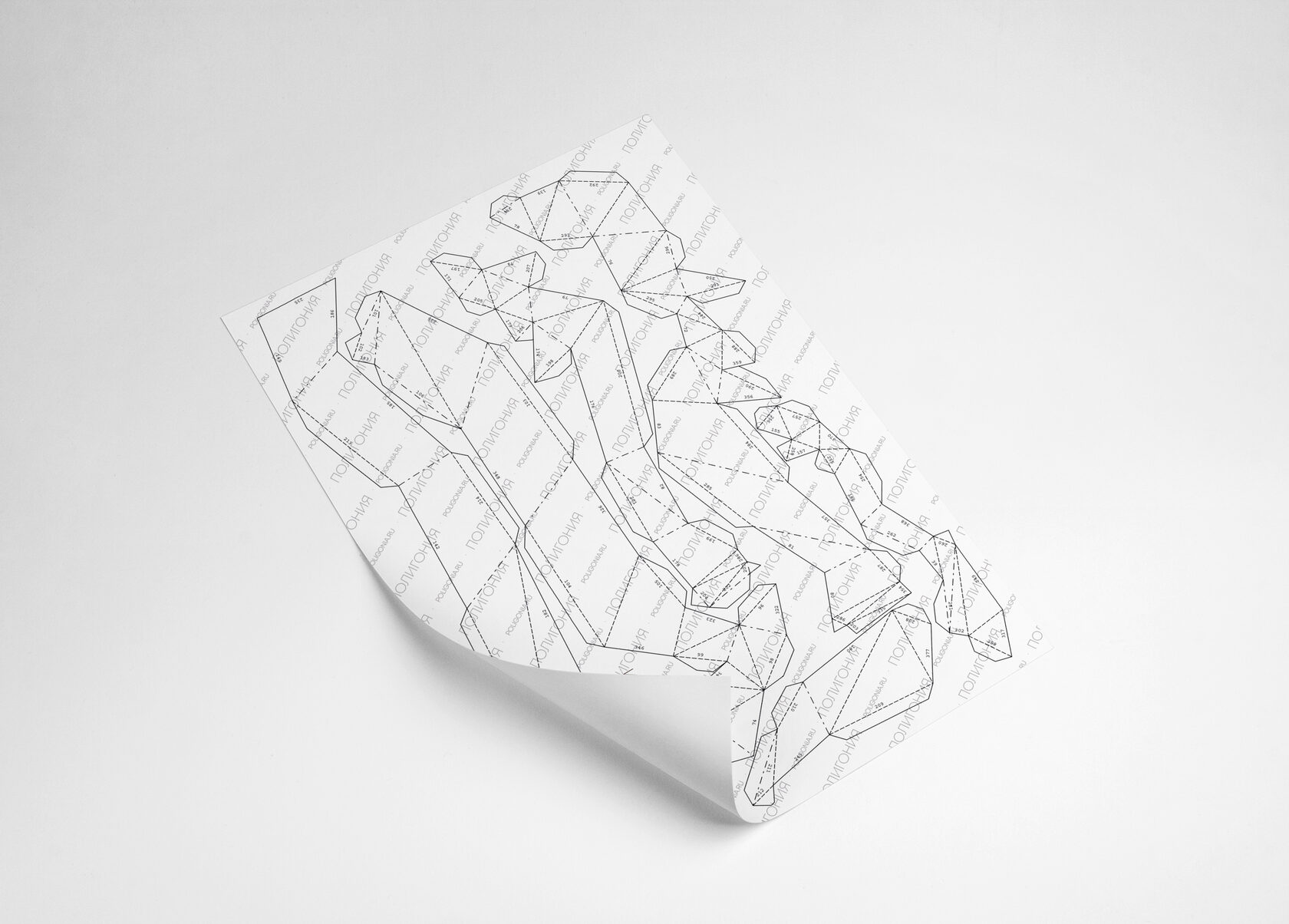 Схема-развертка полигональной фигуры