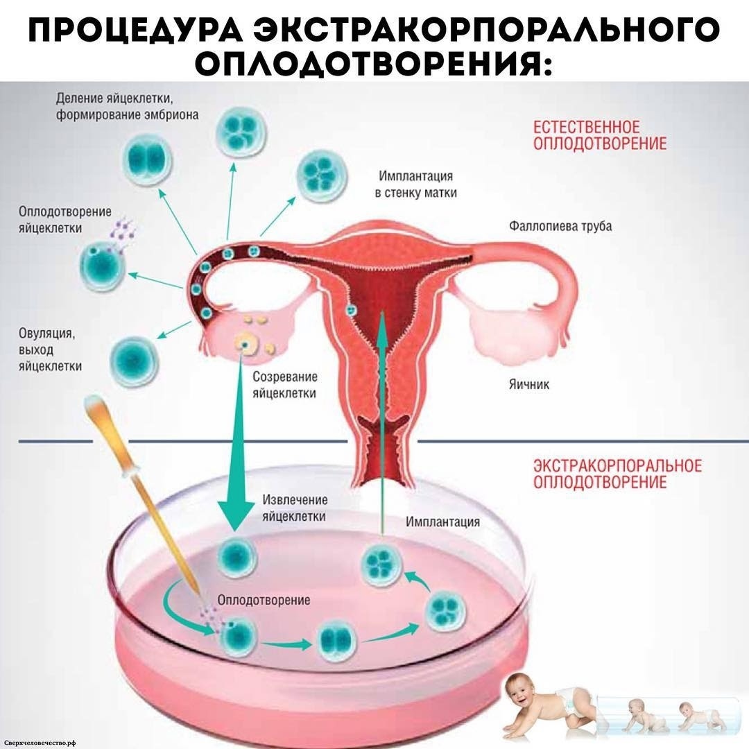 в чем польза спермы для женского организма фото 31