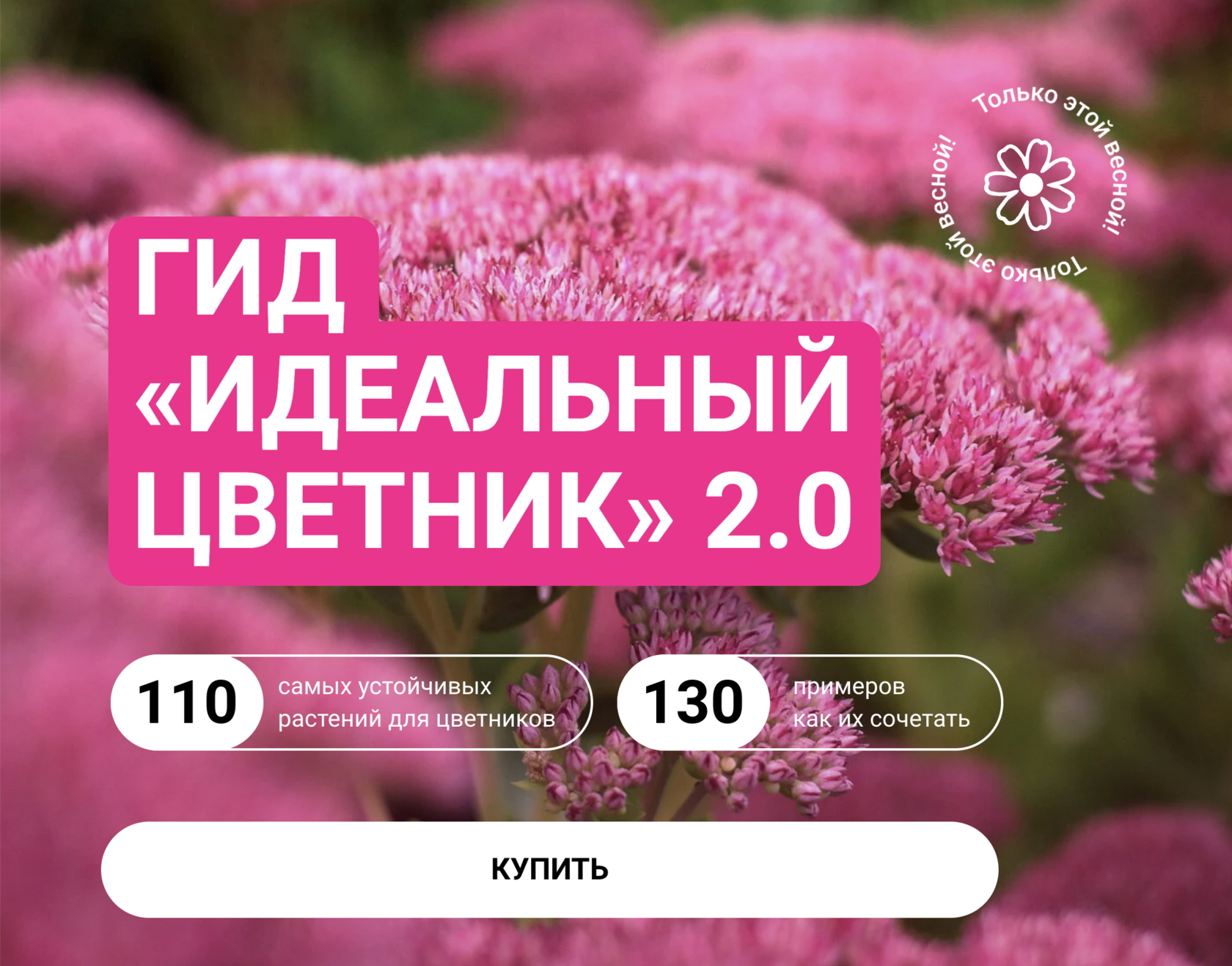 course.be-profionline.ru