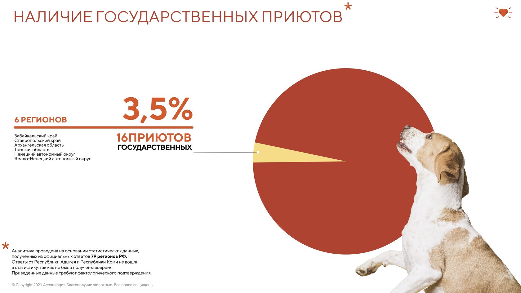 Статистика мониторинга численности безнадзорных животных