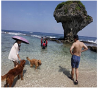Картинка 1. Описание. ВПР 11 класс, 2022 год. Туристы стоят на пляже рядом с грибообразным камнем