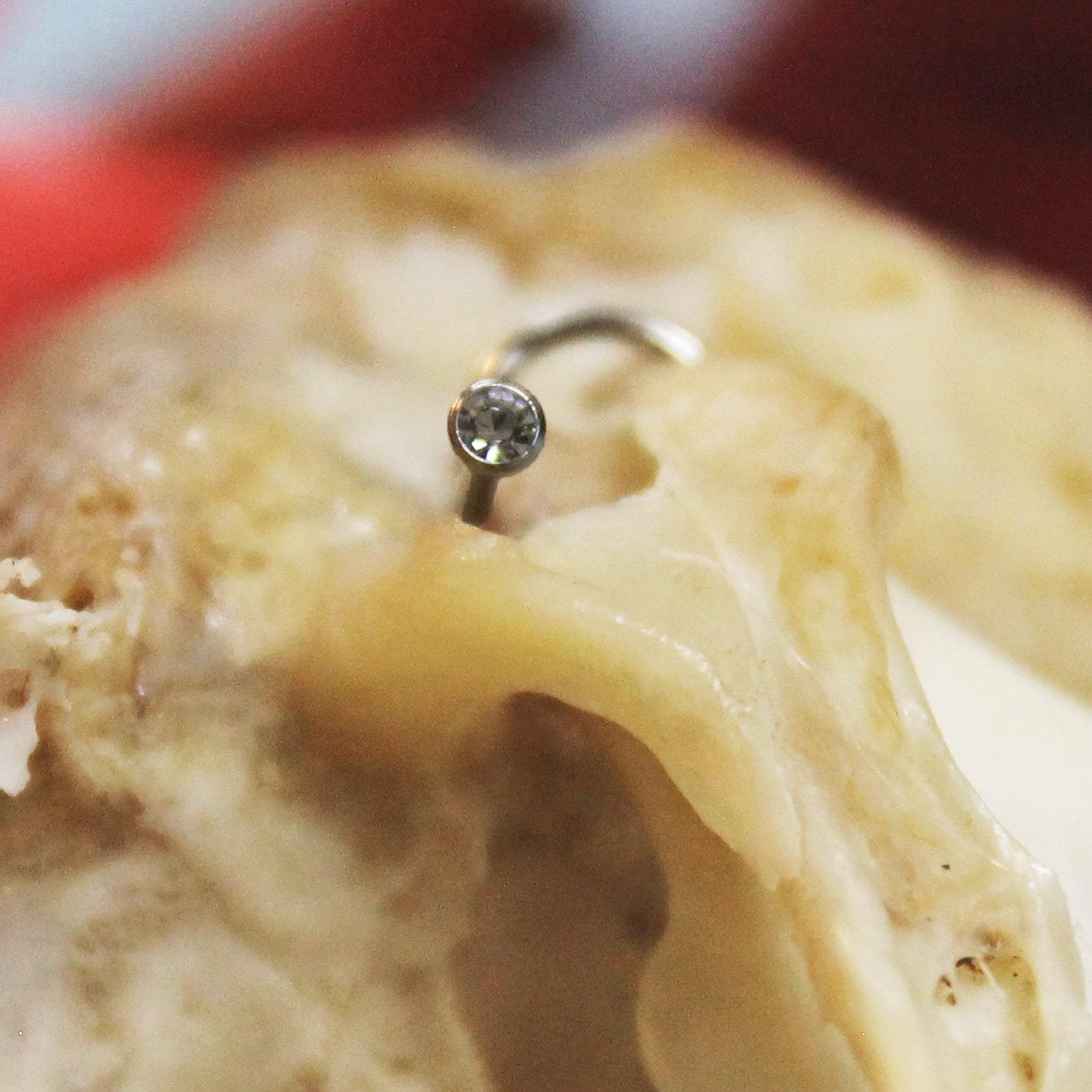 Пирсинг и татуировка Спб. Профессиональная студия в Санкт-Петербурге