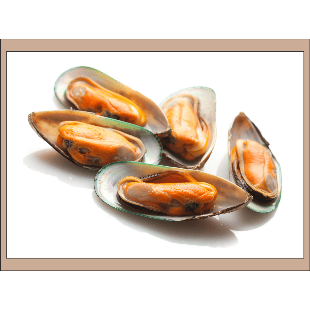 mussels — мидии