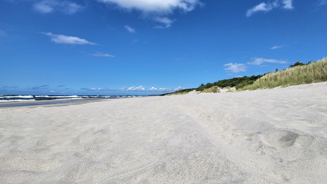 фотография территории отеля