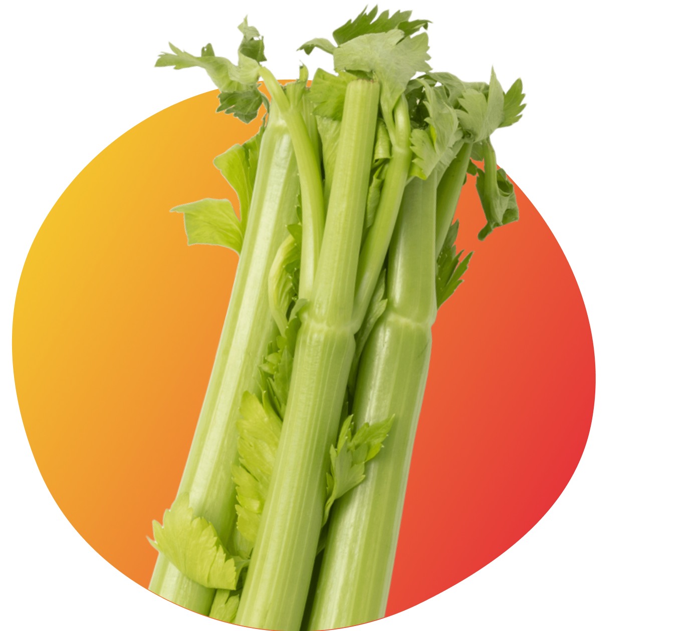 Диетомания: почему диеты могут быть опасны