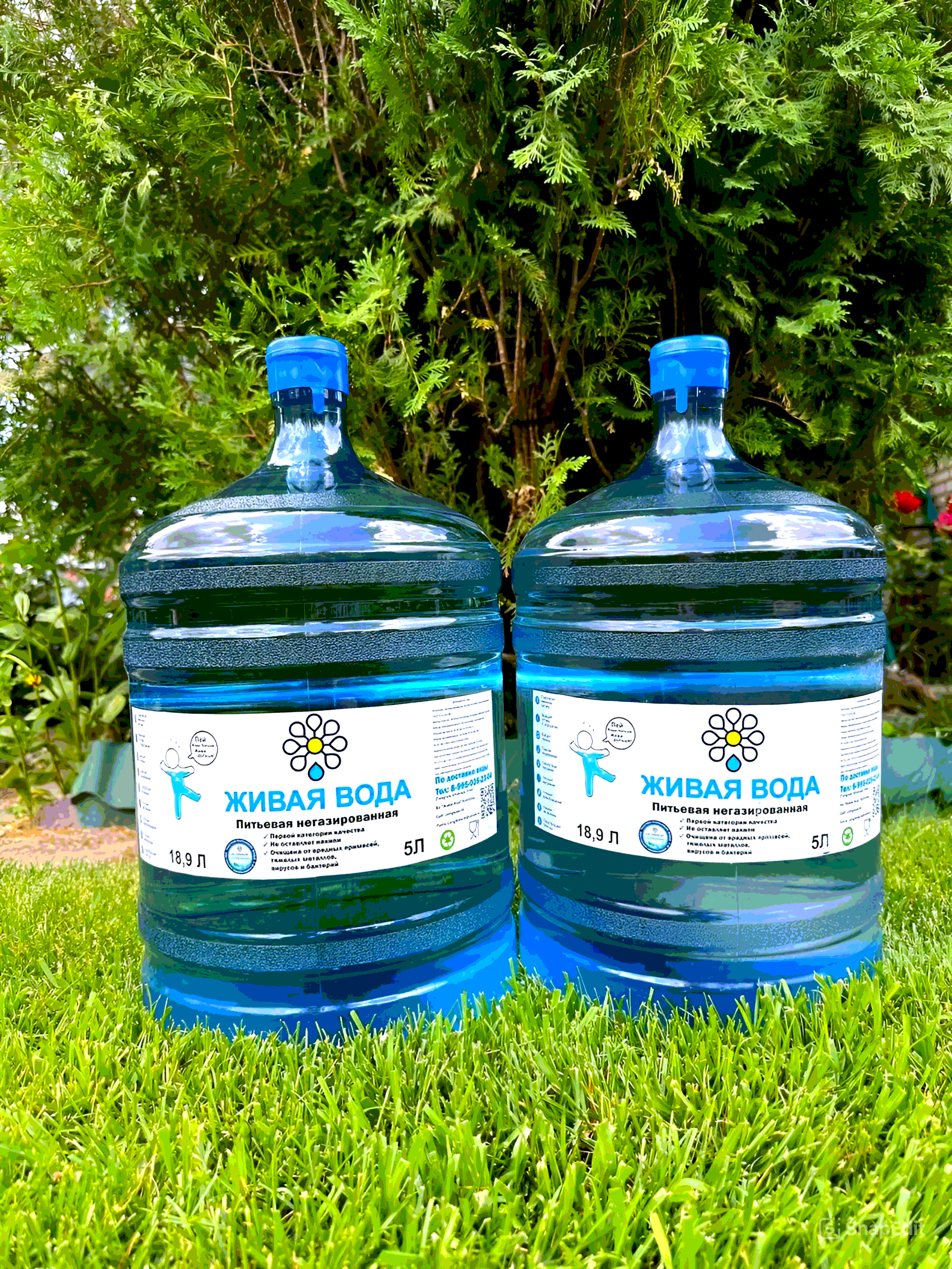 Фотография тар для доставки воды