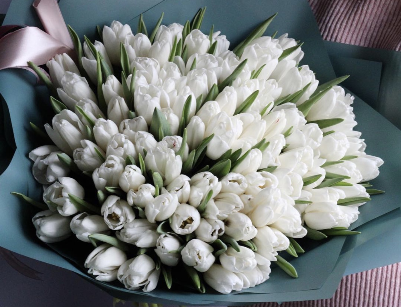 Белые тюльпаны купить
