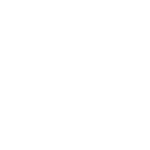 website icon
