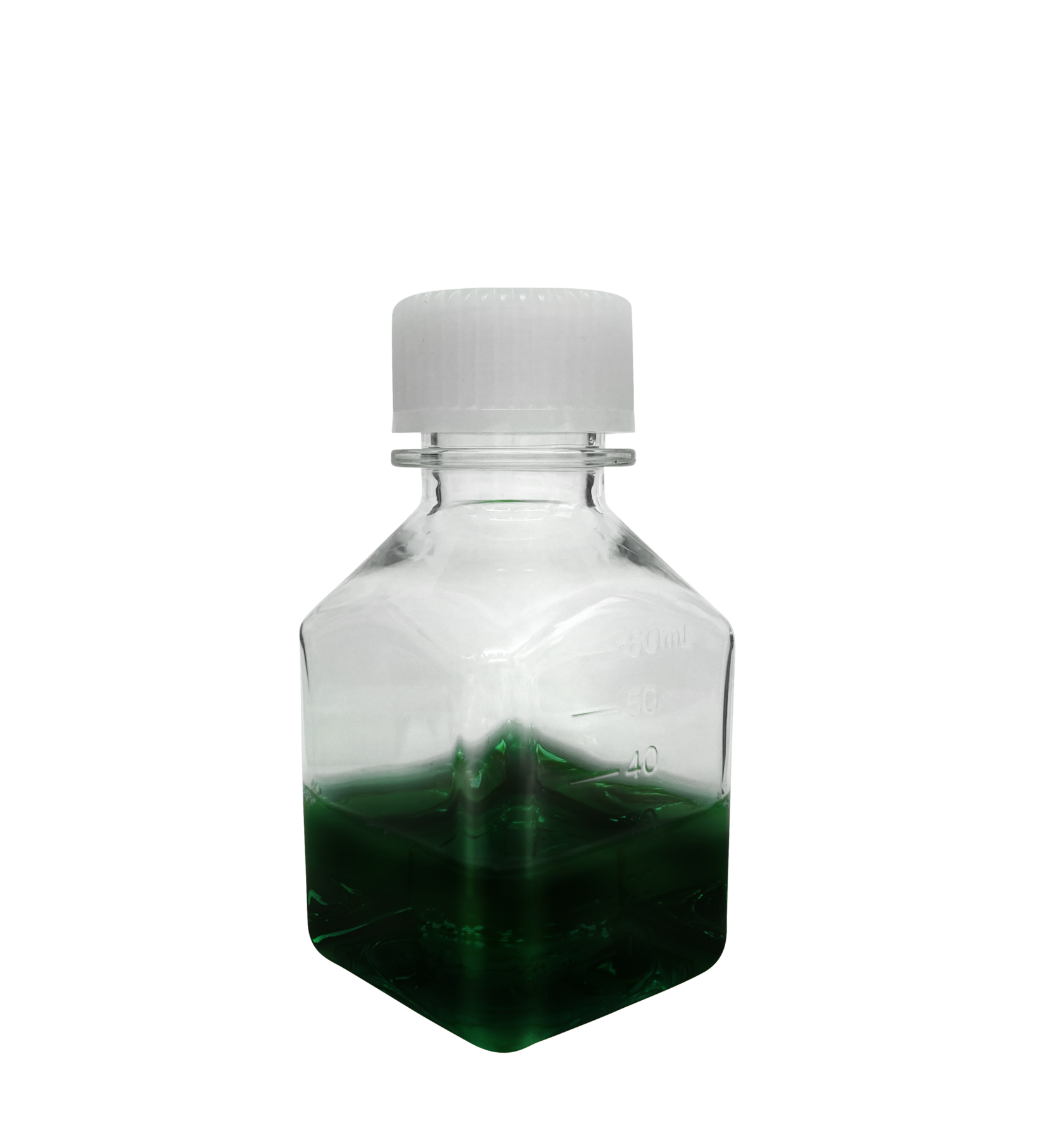 Пивной бульон