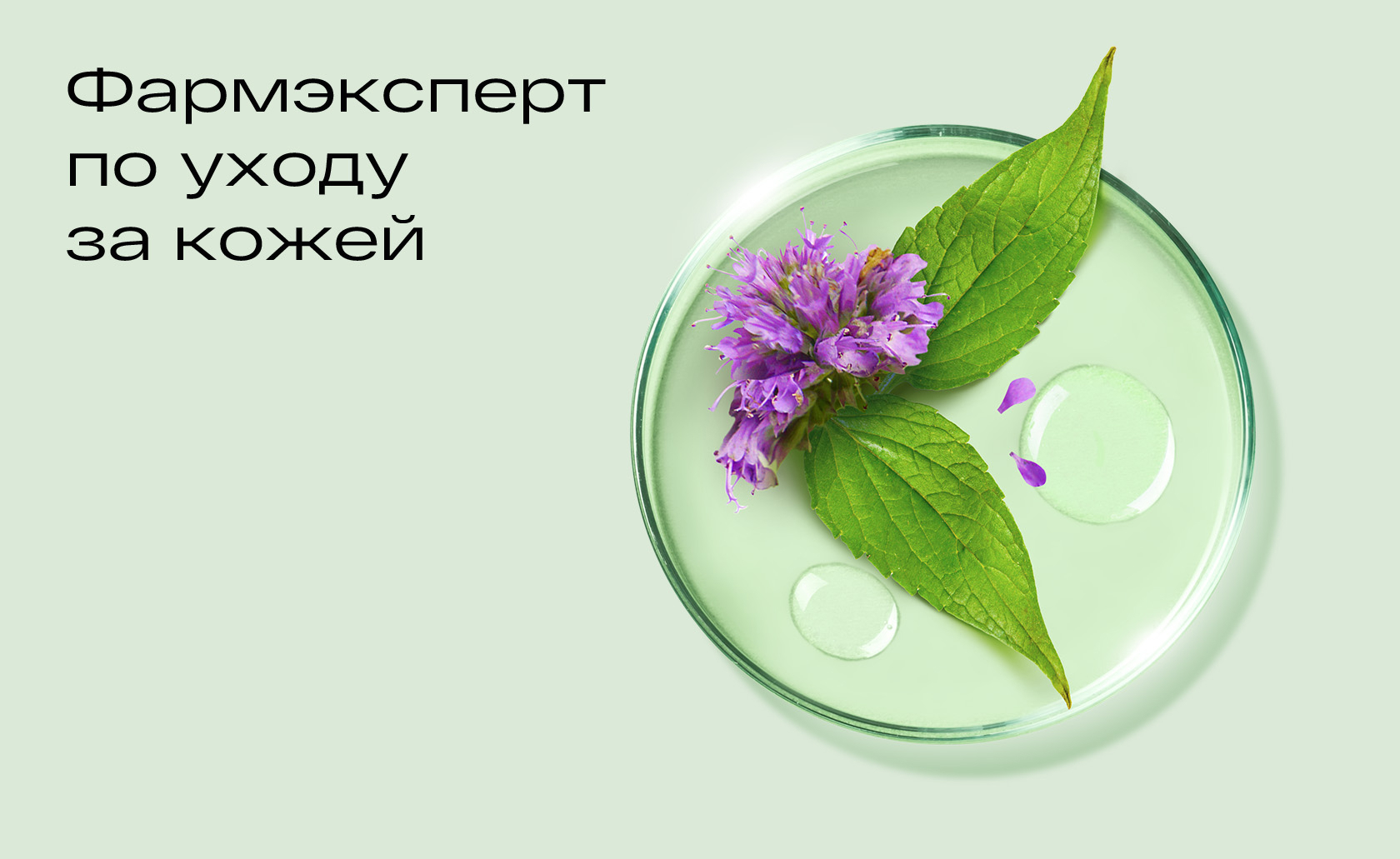 Ребрендинг детской косметики Ла-Кри | Кейс OTVETDESIGN