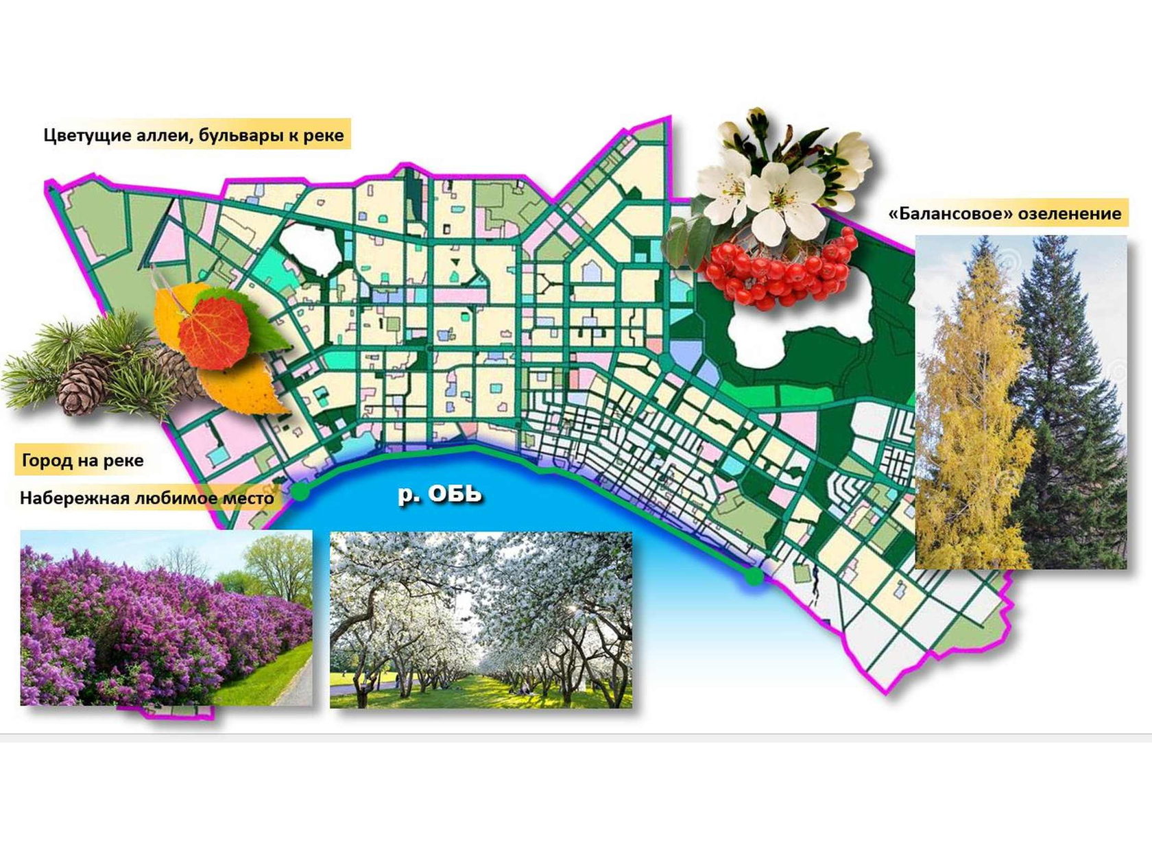 Схема озеленения