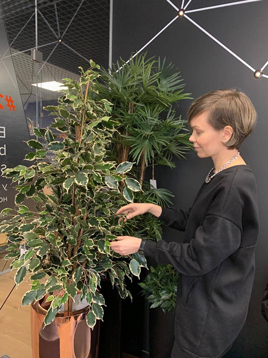 Озеленение коммерческого помещения к новому сезону - Green Land
