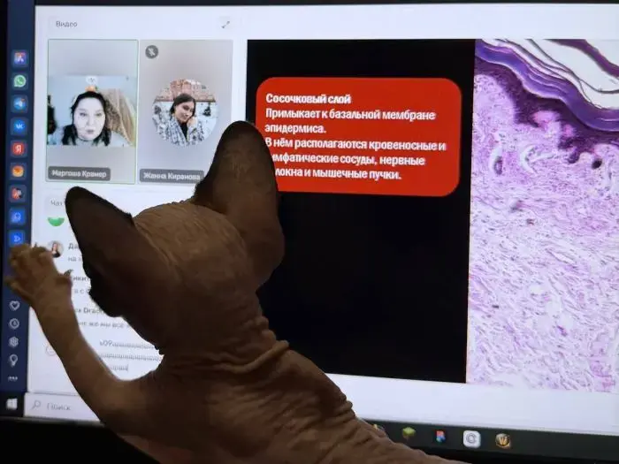 Атмосфера Пирсинг Интенсива — фото 2