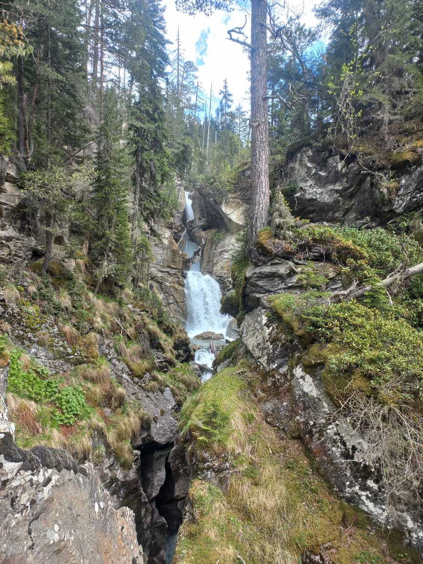 Лесная прогулка по Махарскому ущелью