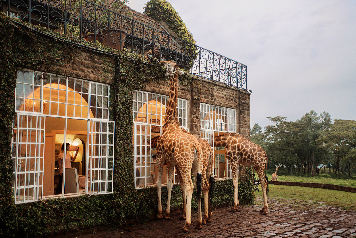 Giraffe Manor