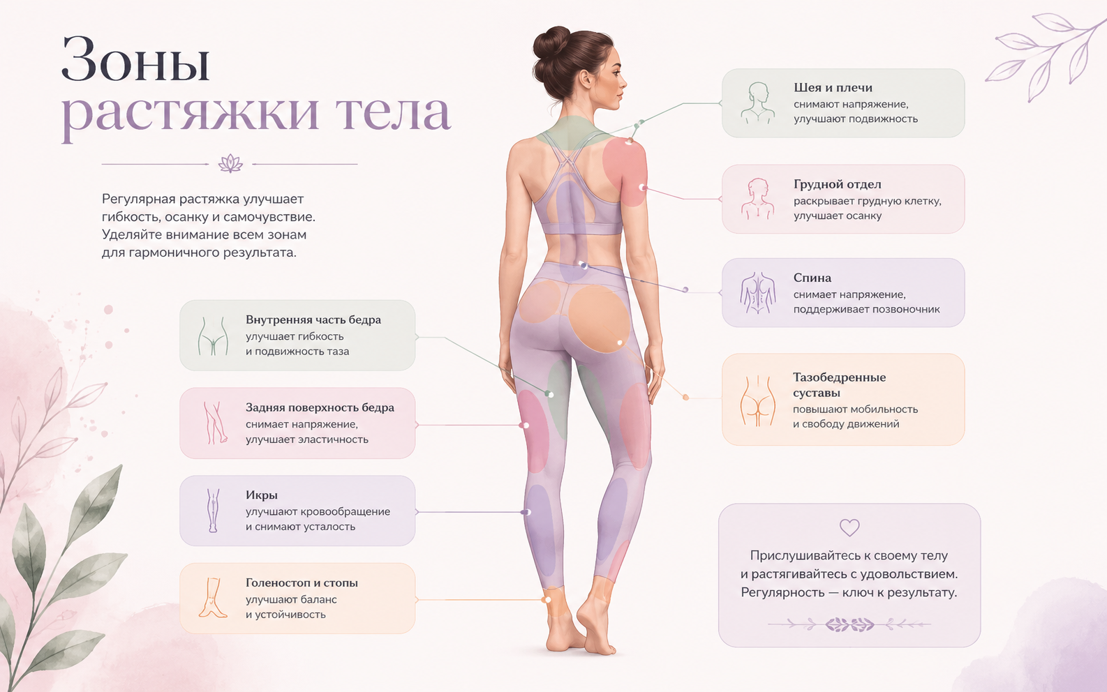 Основные зоны тела, которые прорабатываются на растяжке