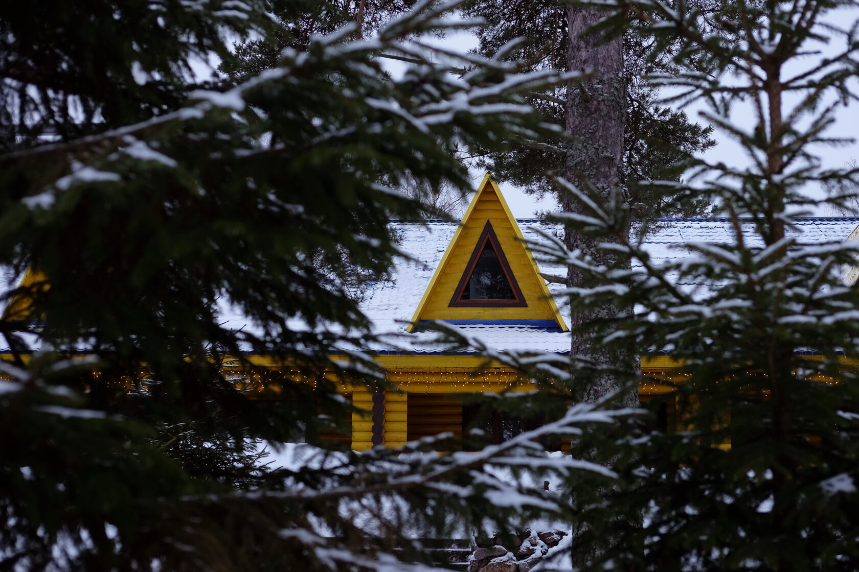 Дом "МИМОЗА"