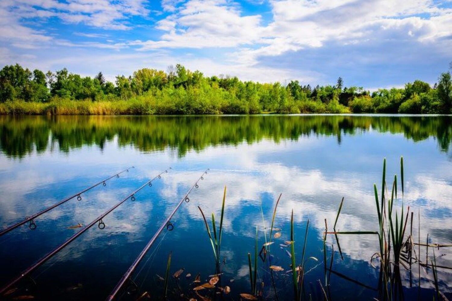 Озеро в форме рыбы. Озеро кучки село родное рыбалка. Камыш-Самарские озёра. Озеро кучки Севастополь. Красивая природа рыбалка.