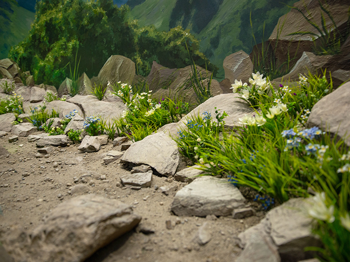 Фрагмент диорамы альпийского луга для заповедника
