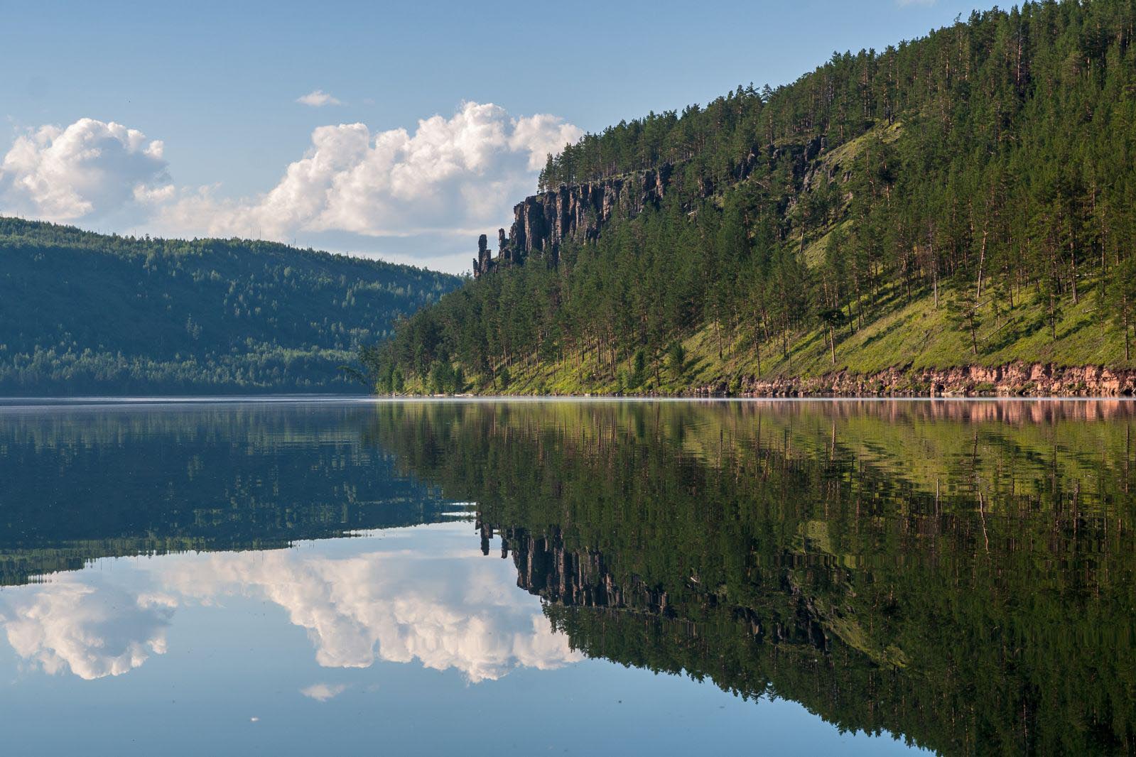 Дары сибирского леса