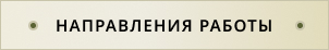 Направления работы