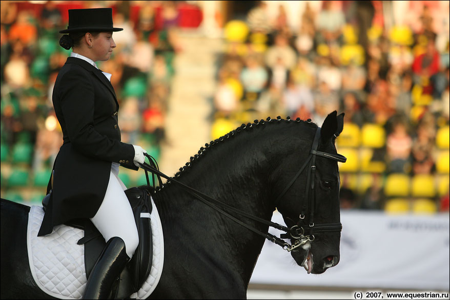 Фотографии тренеров в КСК "Премиум"