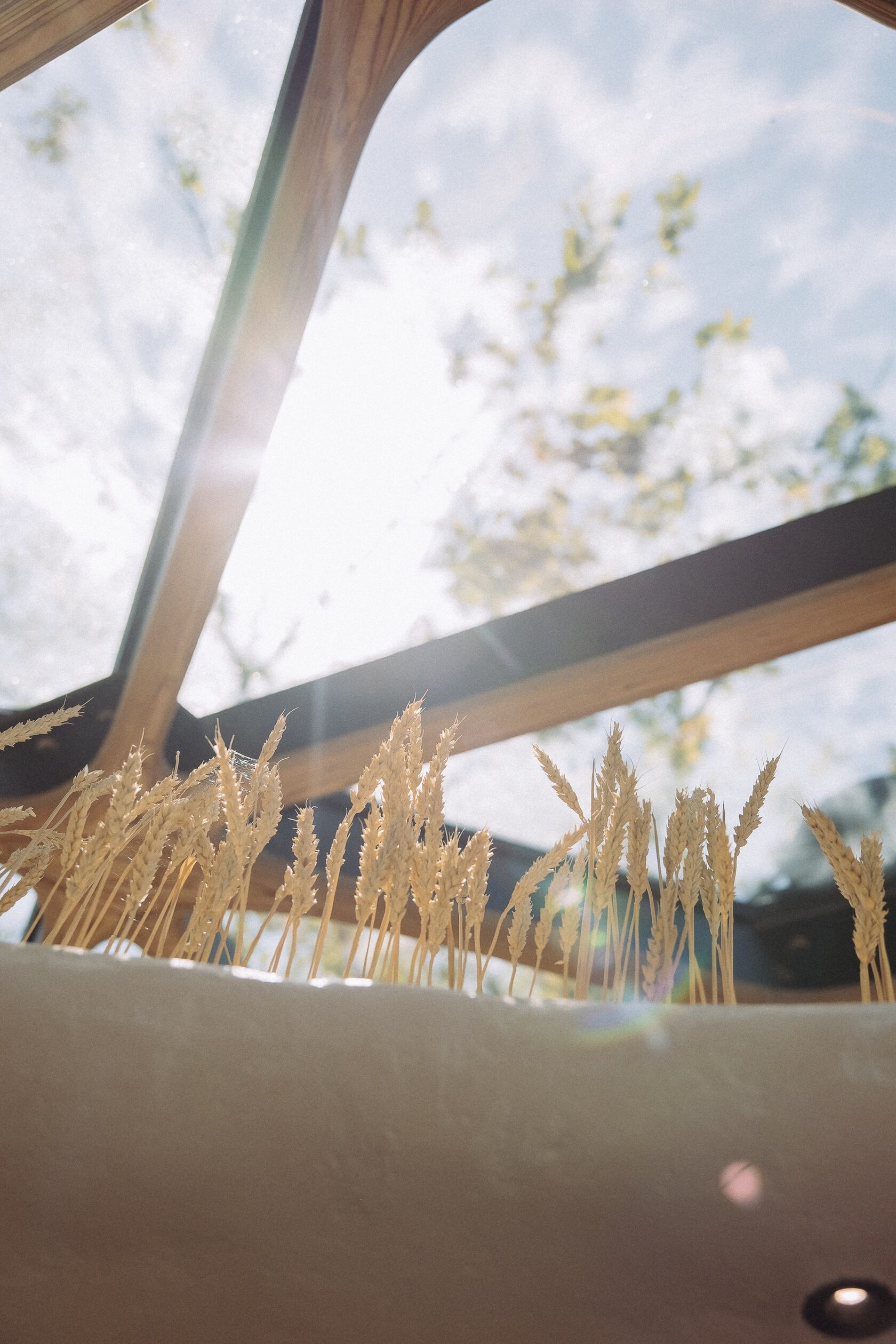 Спа комплекс в Сочи