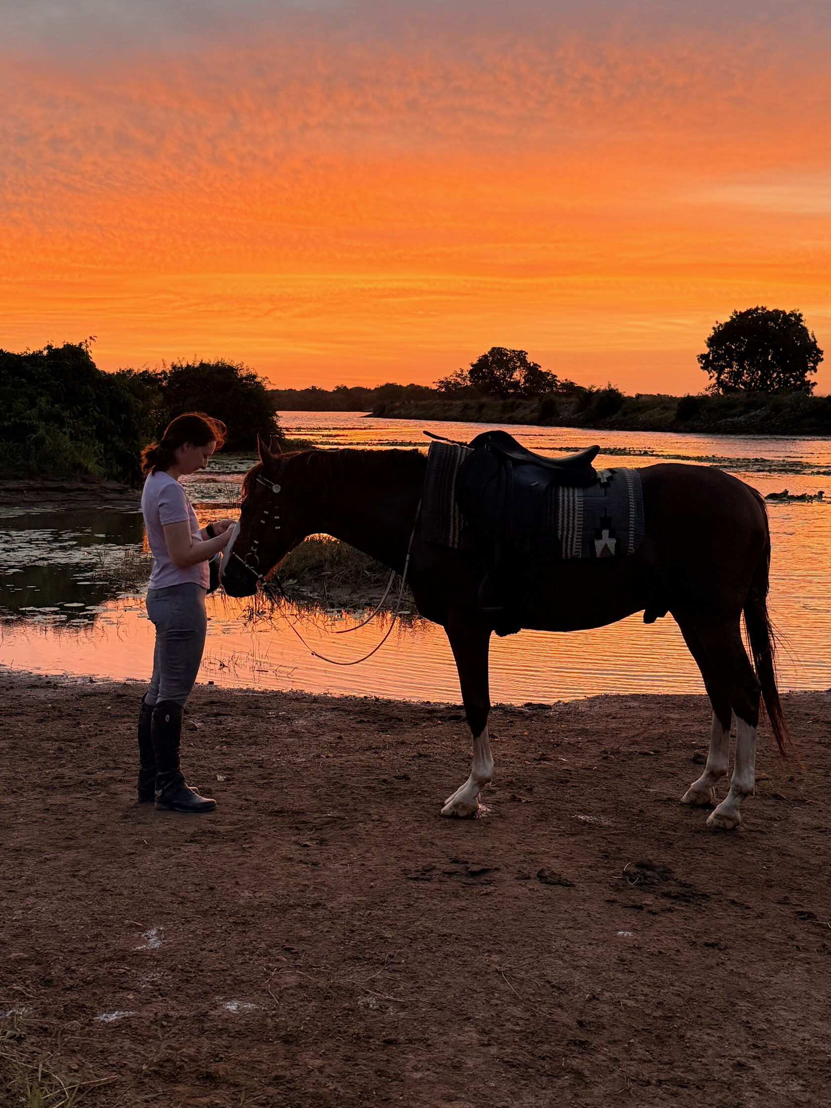 Horse and rider trust at Vonfidel Ranch, shaped by repetition, restraint and calm daily handling.