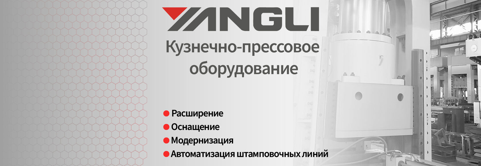 Кривошипные и гидравлические прессы Yangli