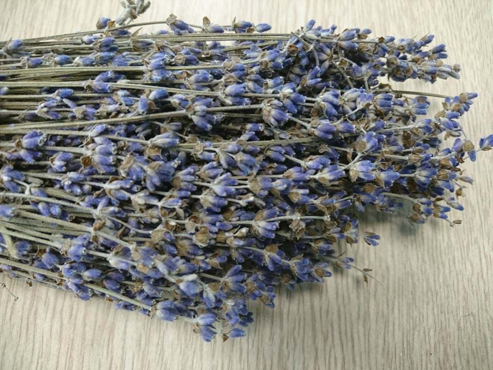 Лаванда сухоцвет-купить в магазине ЛАВАЦВЕТ