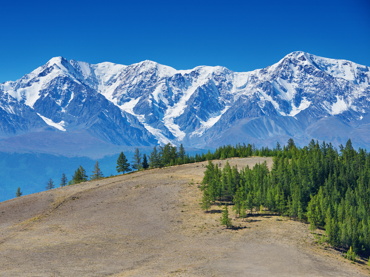 Глубокая долина 4. Гора Белуха Алтайский край. Гора Биданка горный Алтай. Хребты горного Алтая. Альпийские Луга Актру.