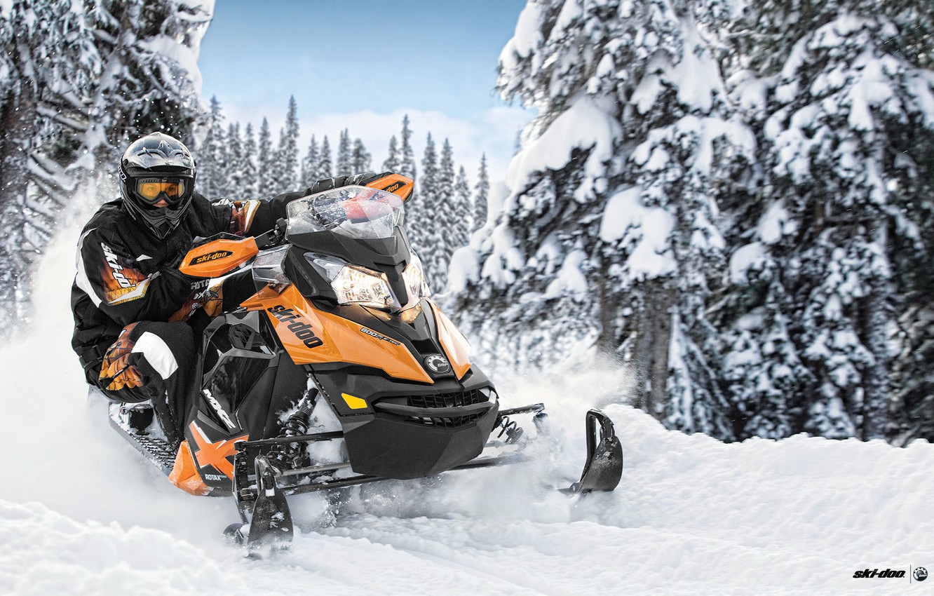 Ski-Doo Alpine 640