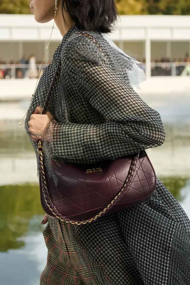 Сумки Dior Spring 2027 10