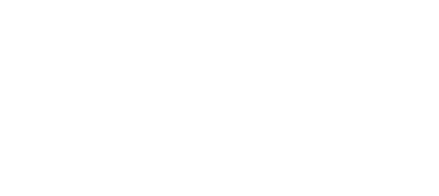 Подкова СПб