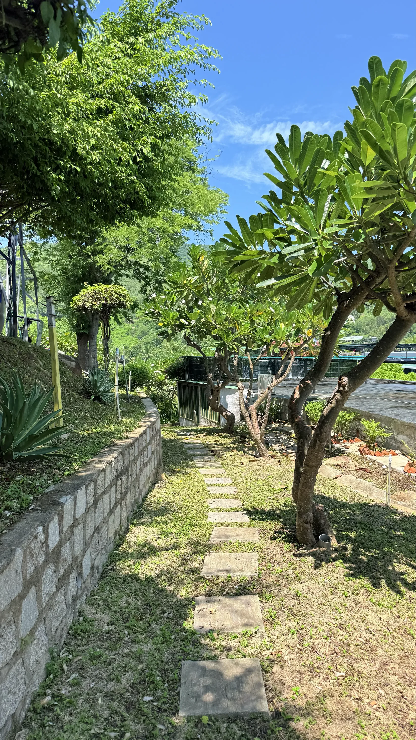 Сад Green Oasis