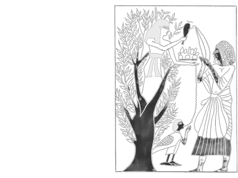 Валерий Уваров Пирамиды наследие богов, Кадуцеи Гора, Кадуцеи Ба-Ка, Жезлы Гора, Цилиндры фараона, Жезлы Египтян, Жезлы Ра