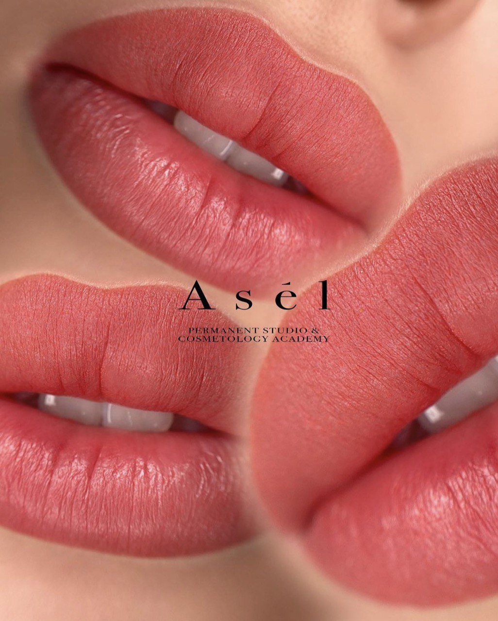 Gallery 5