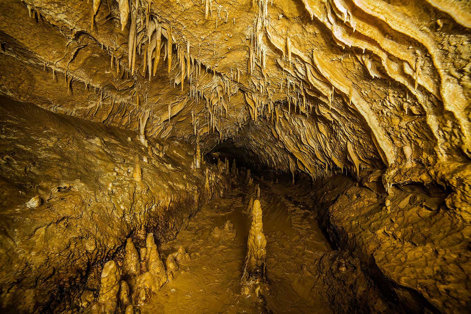 Шакуранская пещера Абхазия
