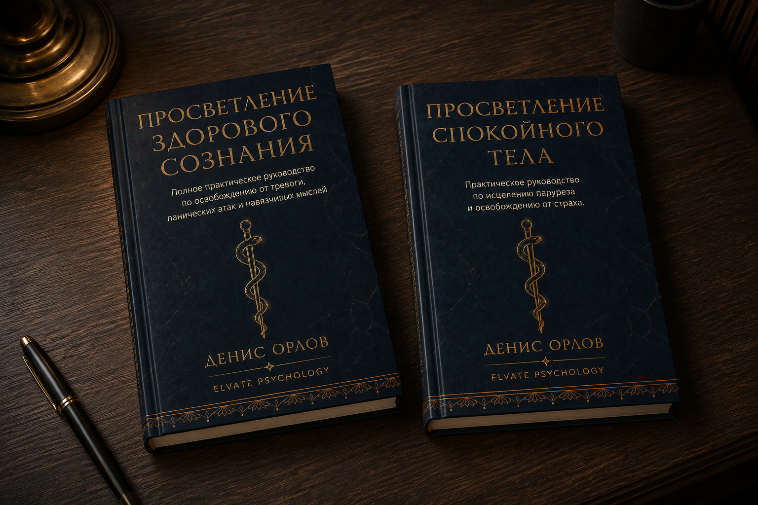 Обе книги на столе — основная и бонусная