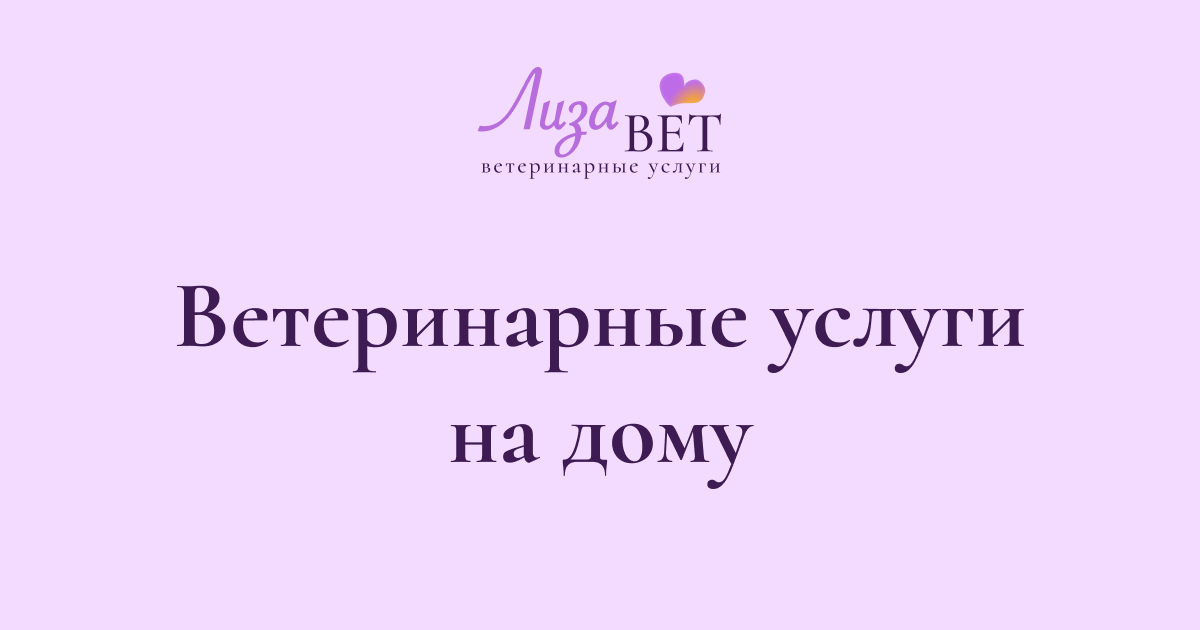Ветеринарные услуги на дому