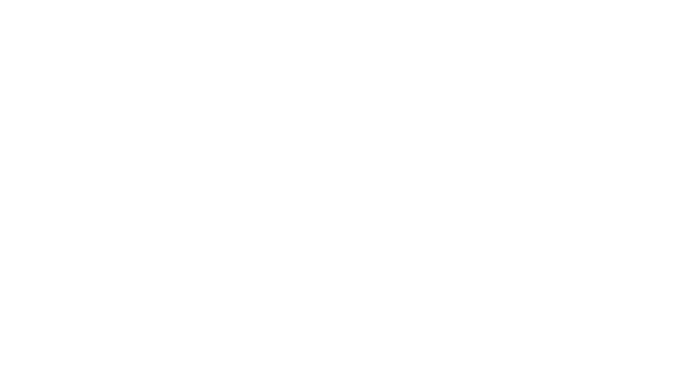 dtpulse logo