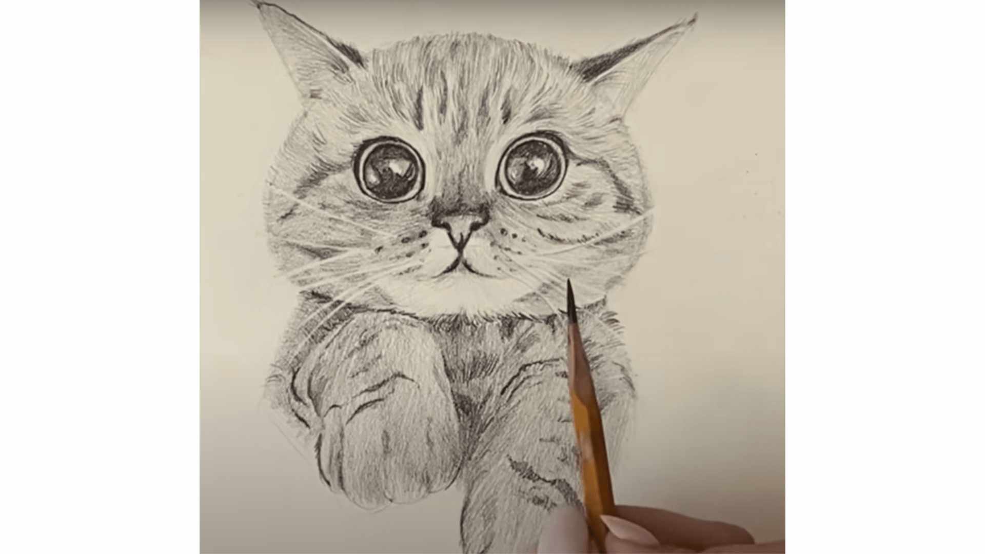 як малювати кота гарно та реалістично